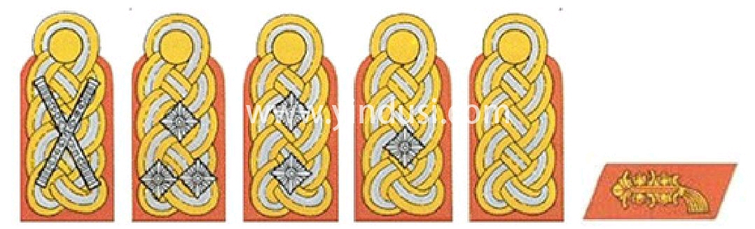 二战德国科普—军衔篇,兴登堡的去世，希特勒正式成为德国的总理。就这样德意志第三帝国的历史开始了。